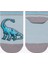 Erkek Çocuk Big Dino Çok Renkli 4lü Patik Çorap 12