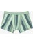 Erkek Çocuk Contour Dino Dinozor Desenli 3'lü Boxer 8