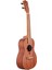 U520C Concert Ukulele 2