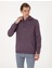 Erkek Mor 2 Iplik Regular Fit Içi Polarlı Kapüşonlu Basic Sweatshirt 50314055-VR038 3
