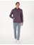 Erkek Mor 2 Iplik Regular Fit Içi Polarlı Kapüşonlu Basic Sweatshirt 50314055-VR038 4