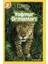 National Geographic Kids- Yağmur Ormanları 1