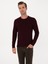 Erkek Açık Bordo Slim Fit Yün Karışımlı Bisiklet Yaka Basic Triko Kazak 50315266-VR263 8