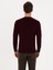 Erkek Açık Bordo Slim Fit Yün Karışımlı Bisiklet Yaka Basic Triko Kazak 50315266-VR263 12