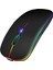 Kablosuz Wireless 2.4g Bluetooth Sessiz Mouse Şarj Edilebilir Rgb Renkli Ergonomik Tasarımlı 5