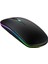 Kablosuz Wireless 2.4g Bluetooth Sessiz Mouse Şarj Edilebilir Rgb Renkli Ergonomik Tasarımlı 7