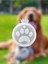 Epoksi Silikon Kalıp / Epoksi Kalıp / Reçine Künye Kolye Tasma Anahtarlık /köpek Kedi Silikon Kalıbı 2
