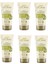 Zeytinyağlı Yağlı Tüp Krem 60 ml x 6 Adet 1