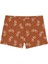 Bicycle Cognac Trunk 1