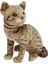 Miyavlayan Oturan Gerçek Görünümlü Peluş Tekir Kedi 27 cm 62441 1
