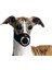 Karlıe Köpek Ağızlığı Xs Bstmy 2