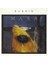 Dikkat CD Runrig – Mara 1