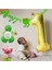 5 Yaş Lisanslı Büyük Boy Maşa ile Koca Ayı Balon Seti Maşa Balon Doğum Günü Gold Rakam Balon Set 3