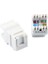 1 Adet RJ45 Cat6 Utp 180 Derece Keystone Jack Ethernet Duvar Jakı Dişi Jak Ağ Konektörü Dişi Jak Klipsi Utp Ağ Punch Down Konektörü 2