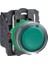 XB5AW33B5 Plastık Yaylı Buton 1
