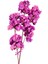 3'lü Mor Bahar Dalı Çiçek 2