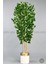 Yapay Benjamin Ağacı 170CM Krem Metal Saksıda Gold 1