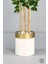 Yapay Benjamin Ağacı 170CM Krem Metal Saksıda Gold 2