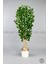 Yapay Benjamin Ağacı 170CM Krem Metal Saksıda Gold 4