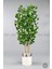 Yapay Benjamin Ağacı 140CM Krem Gümüş Metal Saksıda 5