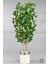 Yapay Benjamin Ağacı 140CM Krem Gümüş Metal Saksıda 6