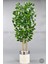 Yapay Benjamin Ağacı 140CM Krem Gümüş Metal Saksıda 8