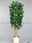 Yapay Bambu Ağacı 170CM Krem Metal Saksıda Gold 1