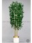 Yapay Bambu Ağacı 170CM Krem Metal Saksıda Gold 8