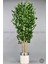 Yapay Benjamin Ağacı 170CM Krem Metal Saksıda Gümüş 1