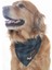 Köpek Bandana / Crup 1