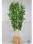 Yapay Benjamin Ağacı 170CM Hasır Bohem1 Saksıda 1
