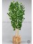 Yapay Benjamin Ağacı 170CM Hasır Bohem1 Saksıda 8