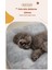 Evcil Hayvan Matı, Kışlık Sıcak Tutan Peluş Köpek Matı (Yurt Dışından) 5
