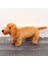 Sevimli Köpek Yavrusu Süsü Peluş Oyuncak Doğum Günü Hediyesi (Yurt Dışından) 1