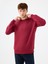 Regular Fit Erkek Sweatshirt 1