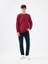 Regular Fit Erkek Sweatshirt 2