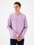 Regular Fit Erkek Sweatshirt 1