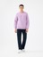 Regular Fit Erkek Sweatshirt 2