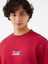 Regular Fit Erkek Sweatshirt 2