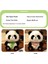 Sevimli Panda Peluş Oyuncak Bebek (Yurt Dışından) 5