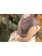 Esnek Wrap Sling – Vizon, Taupe 5