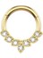 Cerrahi Çelik Gold Daith , Septum, Helix Kilitli Halka Piercing-Ölçü : 8mm X1,2mm-1 Adet 1