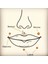 Cerrahi Çelik Bar Içinden Vidalı Labret Piercing-Dudak-Helix, Tragus, Bar Uzunluğu 8mm-1 Adet 8