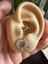 Cerrahi Çelik Gold Daith, Septum Kilitli Halka Piercing-Iç Halka Çapı : 8mm x Kalınlık :1,2mm-1 Adet 1
