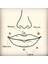 Zirkon Taşlı Bioplast Piercing-Gold Taş Çapı 4 Mm-Dudak,helix,tragus,helix Foward,flat-1 Adet 7