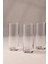 Avantgarde 4'lü Rakı Bardağı Seti 195 cc 16