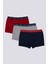 Striped Erkek Çocuk 3'lü Boxer 6