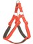 Köpek Bel Tasması 95CM Xx-Large Siyah 2
