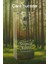 Darshan Incense - Tropical Forest Çubuk Tütsü (20'li) 1