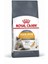 Hair&Skin Tüy ve Deri Sağlığı için Kuru Kedi Maması 2kg 1